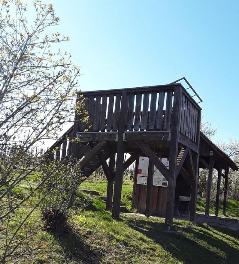 Ferienwohnung - Zimmervermietung Ringelmann Dettelbach Esterno foto