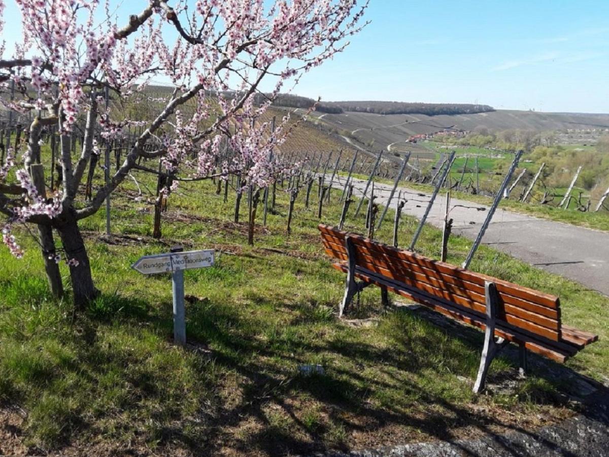 Ferienwohnung - Zimmervermietung Ringelmann Dettelbach Esterno foto