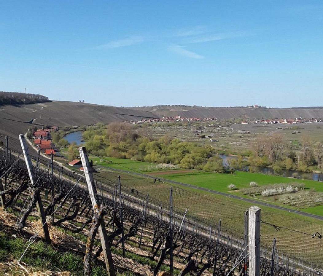Ferienwohnung - Zimmervermietung Ringelmann Dettelbach Esterno foto