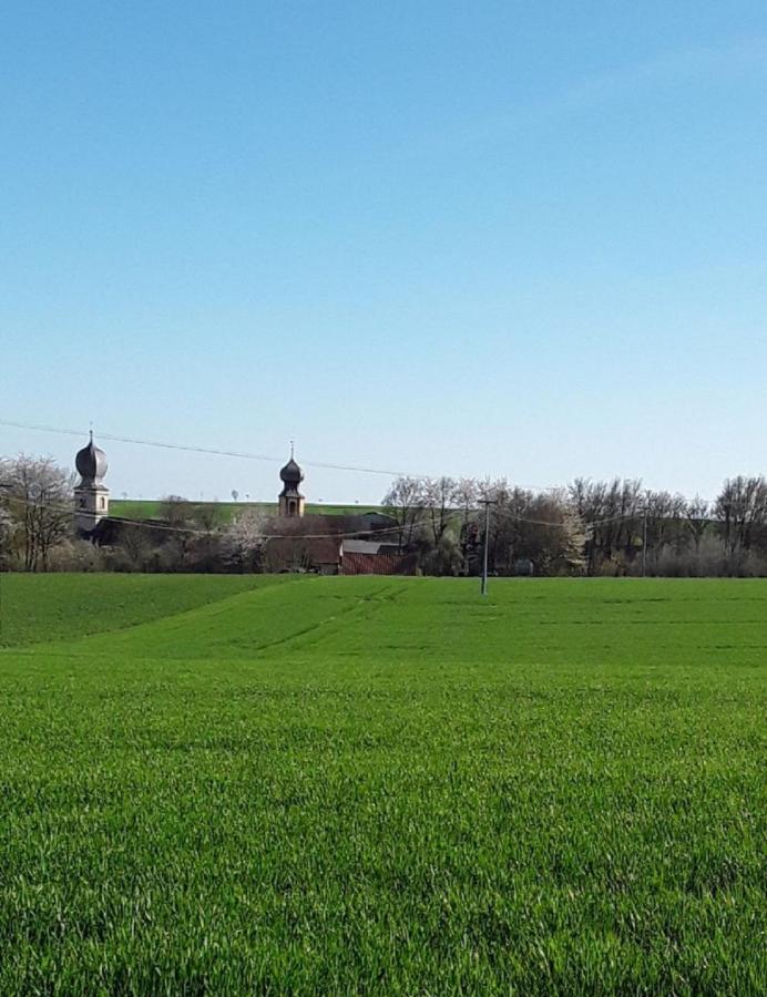 Ferienwohnung - Zimmervermietung Ringelmann Dettelbach Esterno foto