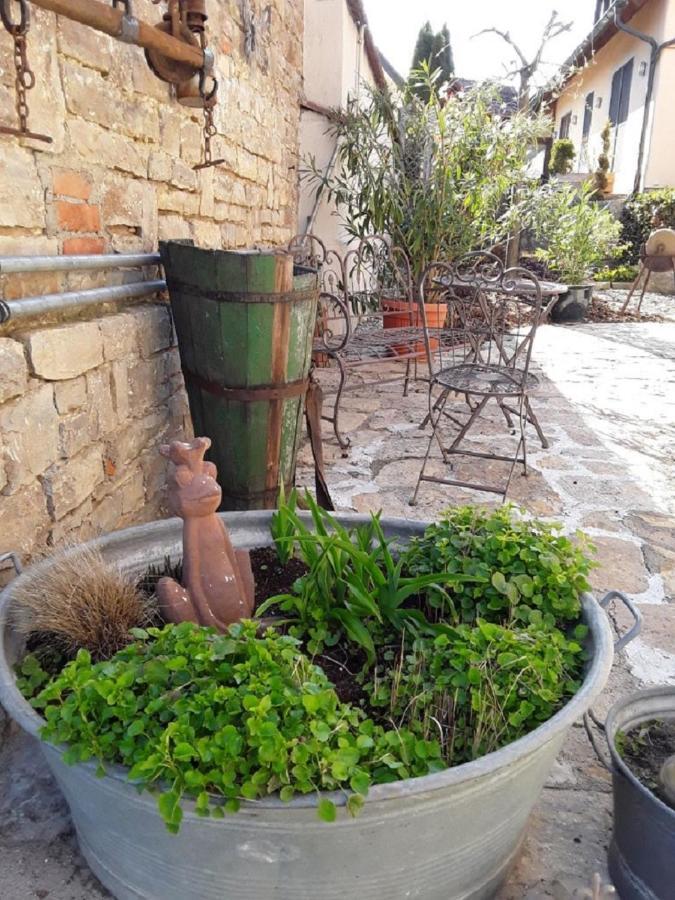 Ferienwohnung - Zimmervermietung Ringelmann Dettelbach Esterno foto